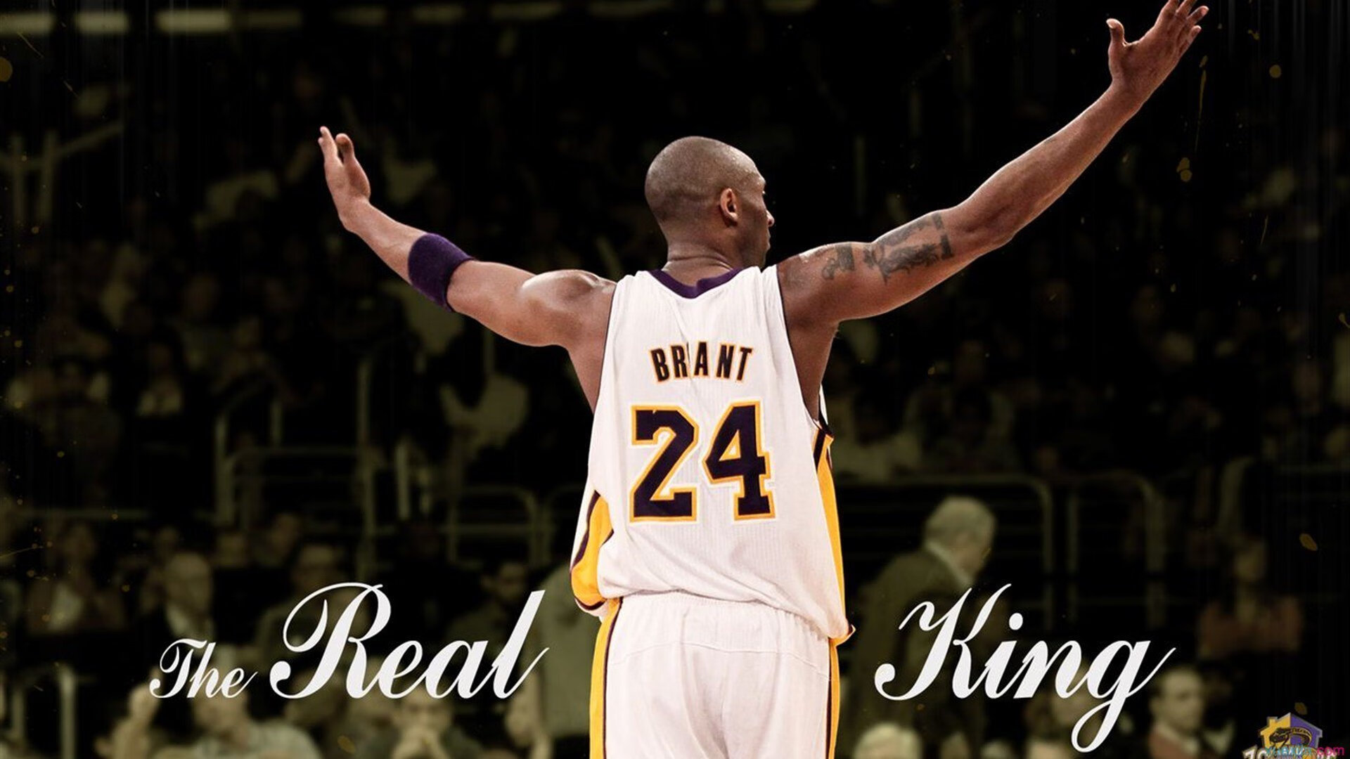 总决赛之夜，西亚卡姆用末节暴走告诉全世界，猛龙的未来不是伦纳德，是他！